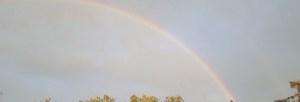 Regenbogen.jpg